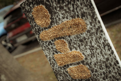 Gala jubileuszu 170-lecia